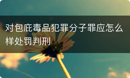 对包庇毒品犯罪分子罪应怎么样处罚判刑