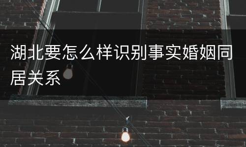 湖北要怎么样识别事实婚姻同居关系