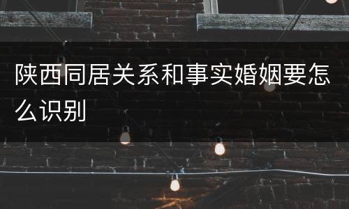 陕西同居关系和事实婚姻要怎么识别