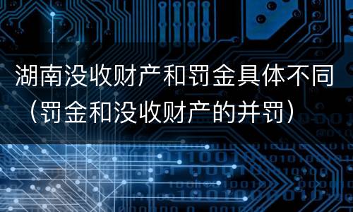 湖南没收财产和罚金具体不同（罚金和没收财产的并罚）