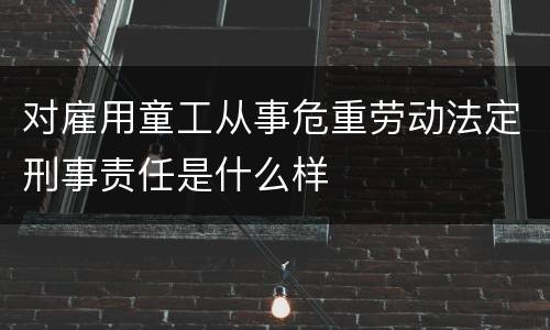 对雇用童工从事危重劳动法定刑事责任是什么样