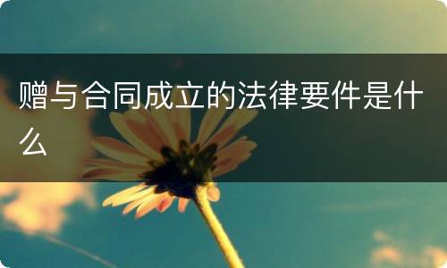 赠与合同成立的法律要件是什么