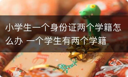 小学生一个身份证两个学籍怎么办 一个学生有两个学籍