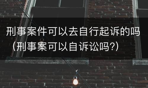 刑事案件可以去自行起诉的吗（刑事案可以自诉讼吗?）