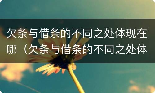 欠条与借条的不同之处体现在哪（欠条与借条的不同之处体现在哪里）