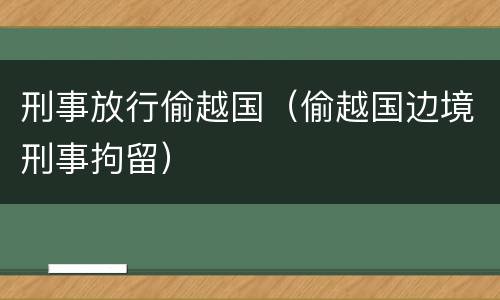 刑事放行偷越国（偷越国边境刑事拘留）