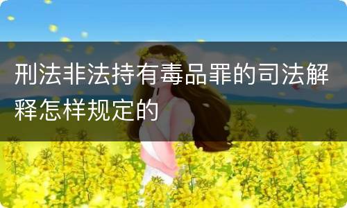 刑法非法持有毒品罪的司法解释怎样规定的