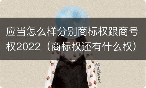 应当怎么样分别商标权跟商号权2022（商标权还有什么权）