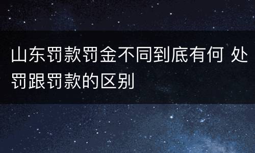 山东罚款罚金不同到底有何 处罚跟罚款的区别