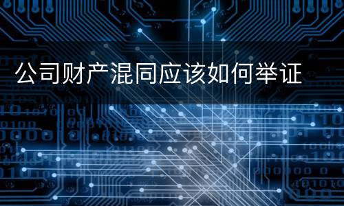 公司财产混同应该如何举证