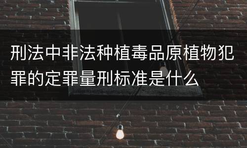 刑法中非法种植毒品原植物犯罪的定罪量刑标准是什么
