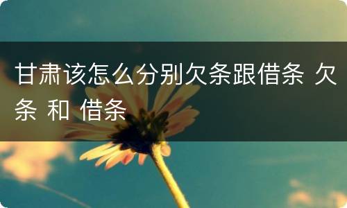甘肃该怎么分别欠条跟借条 欠条 和 借条