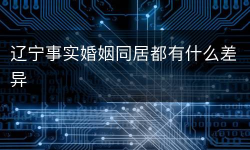 辽宁事实婚姻同居都有什么差异