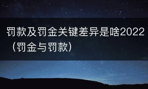 罚款及罚金关键差异是啥2022（罚金与罚款）