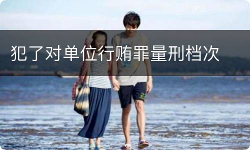 犯了对单位行贿罪量刑档次