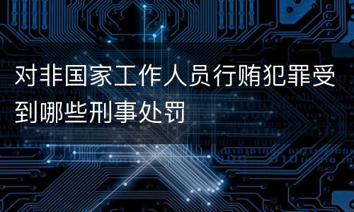 对非国家工作人员行贿犯罪受到哪些刑事处罚