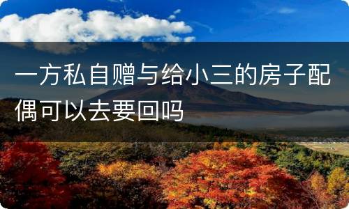 一方私自赠与给小三的房子配偶可以去要回吗