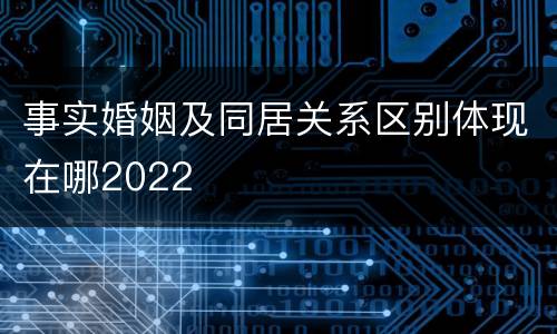 事实婚姻及同居关系区别体现在哪2022