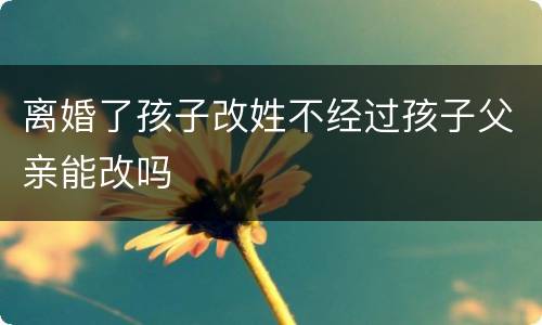 离婚了孩子改姓不经过孩子父亲能改吗