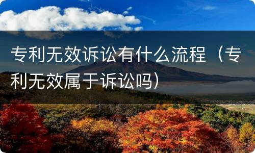 专利无效诉讼有什么流程（专利无效属于诉讼吗）