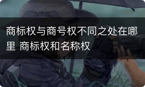商标权与商号权不同之处在哪里 商标权和名称权
