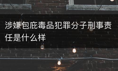 涉嫌包庇毒品犯罪分子刑事责任是什么样