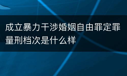 成立暴力干涉婚姻自由罪定罪量刑档次是什么样