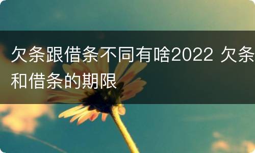 欠条跟借条不同有啥2022 欠条和借条的期限