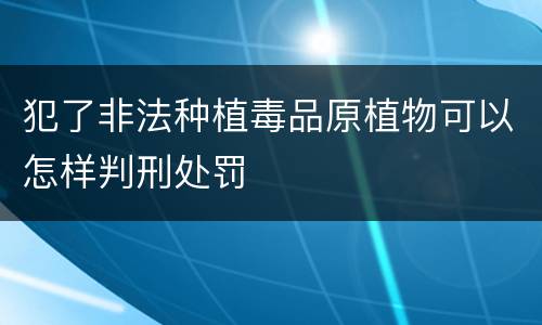 犯了非法种植毒品原植物可以怎样判刑处罚