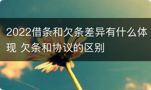 2022借条和欠条差异有什么体现 欠条和协议的区别