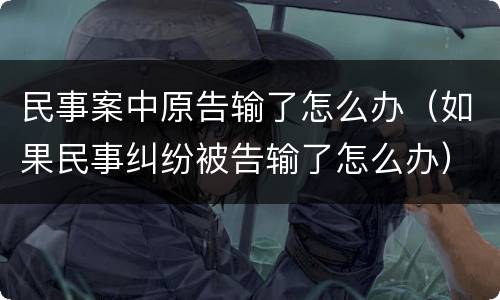 民事案中原告输了怎么办（如果民事纠纷被告输了怎么办）