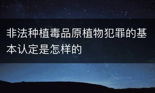 非法种植毒品原植物犯罪的基本认定是怎样的