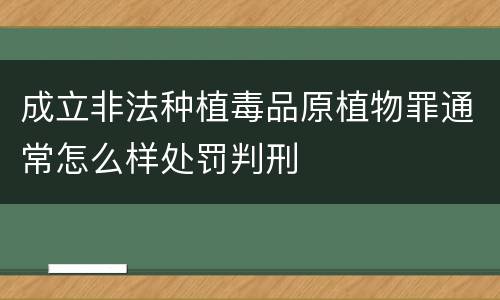 成立非法种植毒品原植物罪通常怎么样处罚判刑