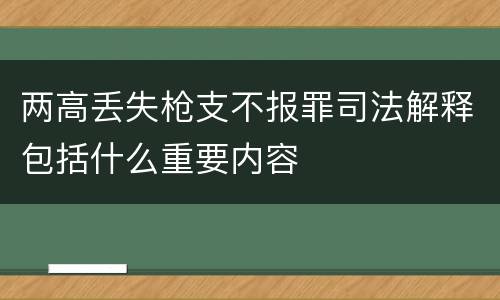 两高丢失枪支不报罪司法解释包括什么重要内容