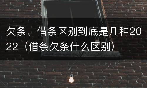 欠条、借条区别到底是几种2022（借条欠条什么区别）