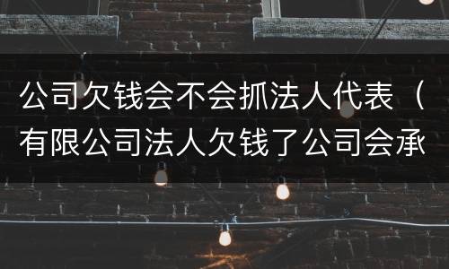 公司欠钱会不会抓法人代表（有限公司法人欠钱了公司会承担责任吗?）