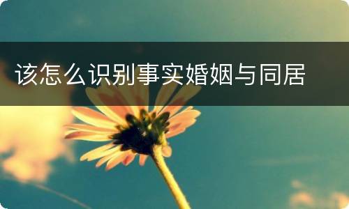 该怎么识别事实婚姻与同居