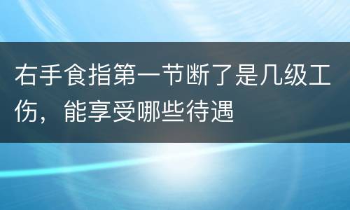 右手食指第一节断了是几级工伤，能享受哪些待遇