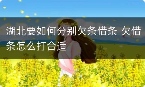 湖北要如何分别欠条借条 欠借条怎么打合适