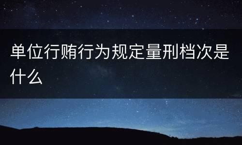 单位行贿行为规定量刑档次是什么