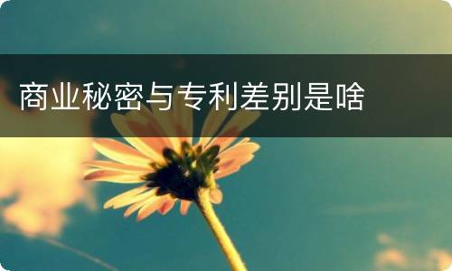 商业秘密与专利差别是啥