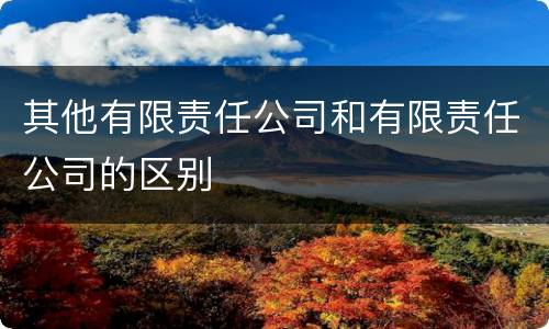 其他有限责任公司和有限责任公司的区别
