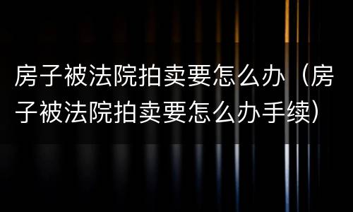 房子被法院拍卖要怎么办（房子被法院拍卖要怎么办手续）