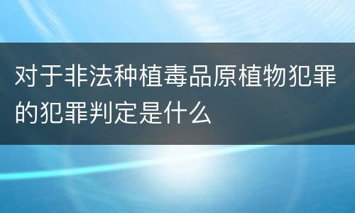 对于非法种植毒品原植物犯罪的犯罪判定是什么