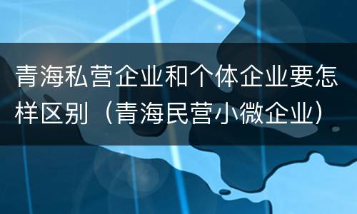 青海私营企业和个体企业要怎样区别（青海民营小微企业）