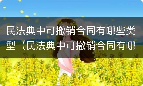 民法典中可撤销合同有哪些类型（民法典中可撤销合同有哪些类型规定）
