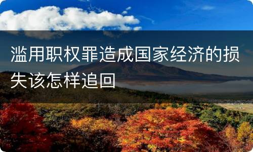 滥用职权罪造成国家经济的损失该怎样追回