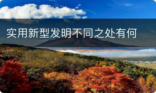 实用新型发明不同之处有何