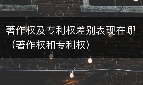著作权及专利权差别表现在哪（著作权和专利权）