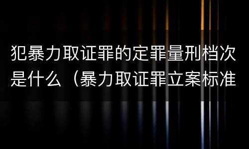 犯暴力取证罪的定罪量刑档次是什么（暴力取证罪立案标准）
